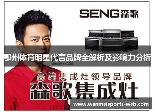 鄂州体育明星代言品牌全解析及影响力分析